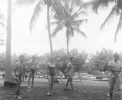 SBHS Sr. Skip Day - Crandon Park 1a.jpg (96252 bytes)