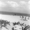 SBHS Sr. Skip Day - Crandon Park 1b.jpg (112721 bytes)
