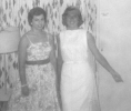 pic3x.jpg (185838 bytes)